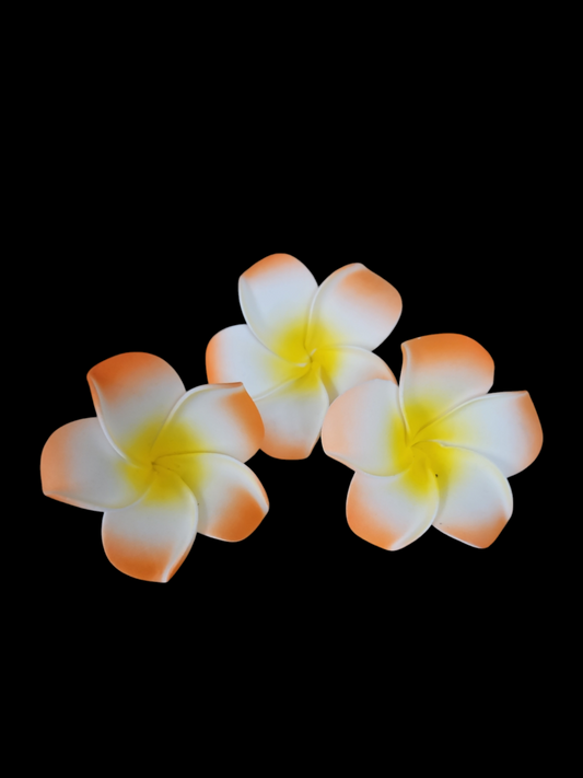 Orange Sei