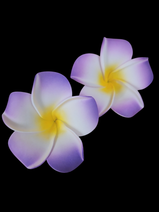 Purple Sei