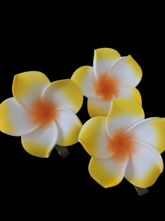 Yellow Sei