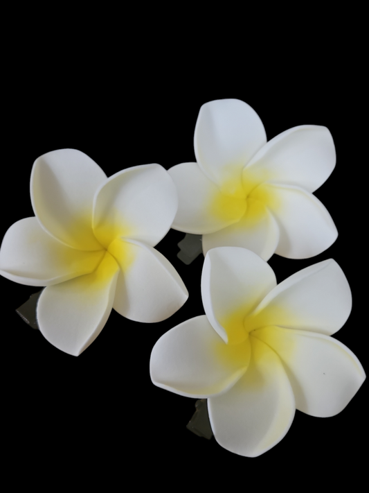 White Sei